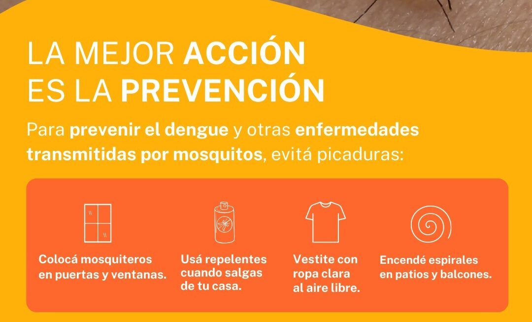 Provincia recordó medidas de prevención de enfermedades transmitidas por mosquitos