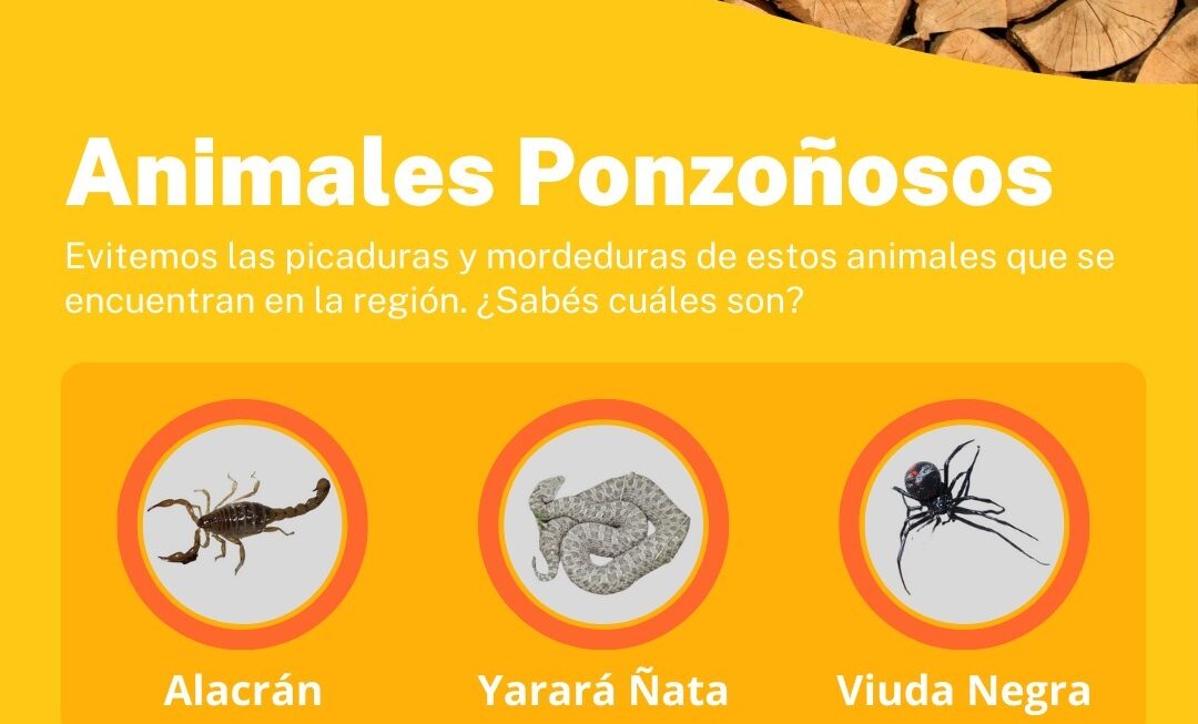 Provincia brindó recomendaciones para evitar picaduras o mordeduras de animales ponzoñosos de importancia sanitaria