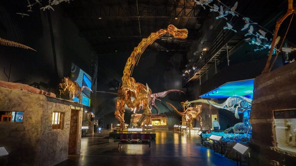 El Gobierno provincial acompaña el fortalecimiento internacional del Museo Paleontológico «Egidio Feruglio»