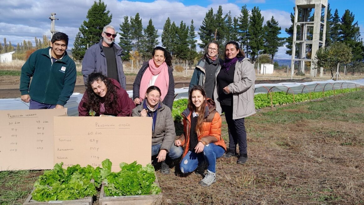 Provincia realiza pruebas de uso de fertilizantes orgánicos en cultivos hortícolas de la Cordillera