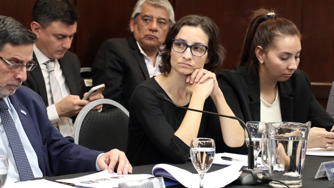 Chubut logró importantes avances en la gestión de su sistema sanitario provincial