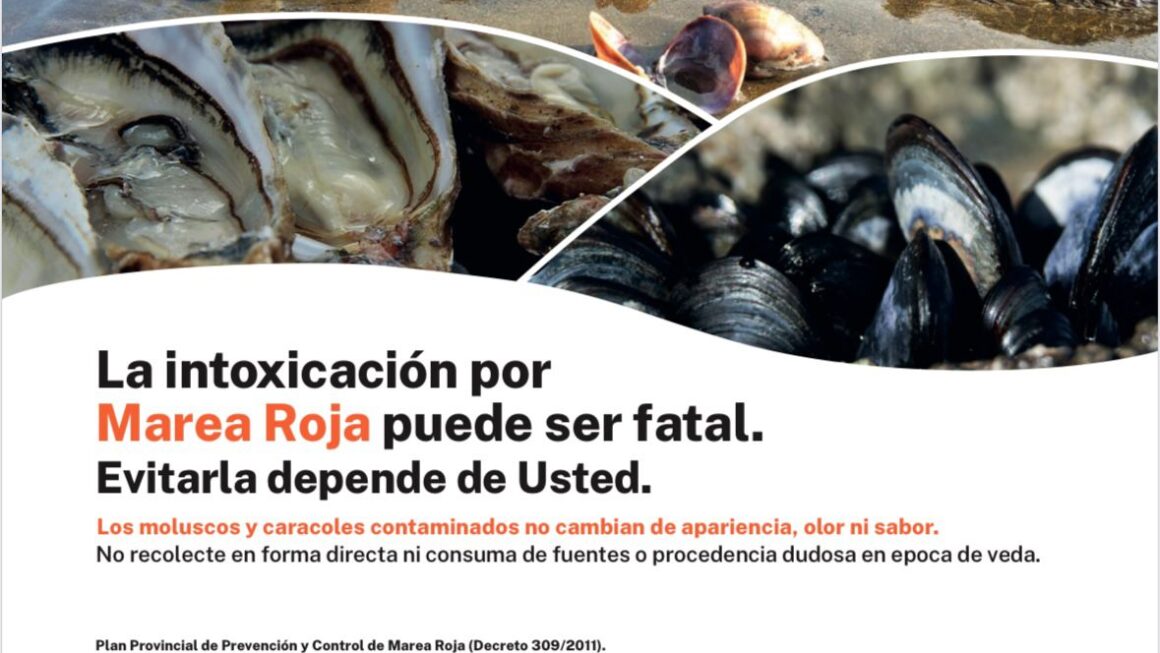 Pesca: Veda por Marea Roja en toda la zona de Rawson