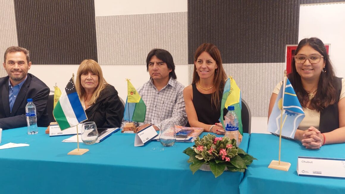 Chubut participó de la 102° Asamblea Ordinaria del Consejo Federal de Discapacidad