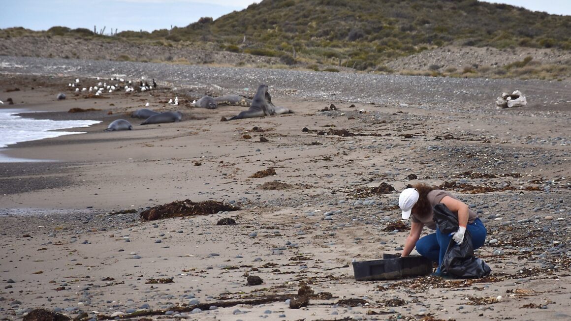 Provincia recolectó más de 100 kilos de residuos en las playas Santa Isabel e Isla Escondida