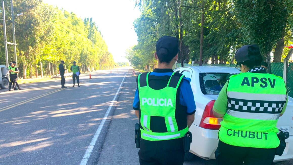 Verano Seguro: Provincia controló cerca de 10.000 vehículos y retiró a 55 conductores alcoholizados de la vía pública
