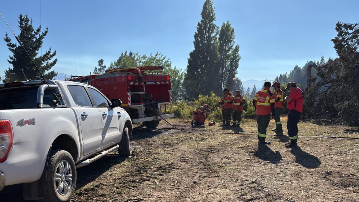Provincia logró contener el incendio forestal en la zona de Los Cipreses