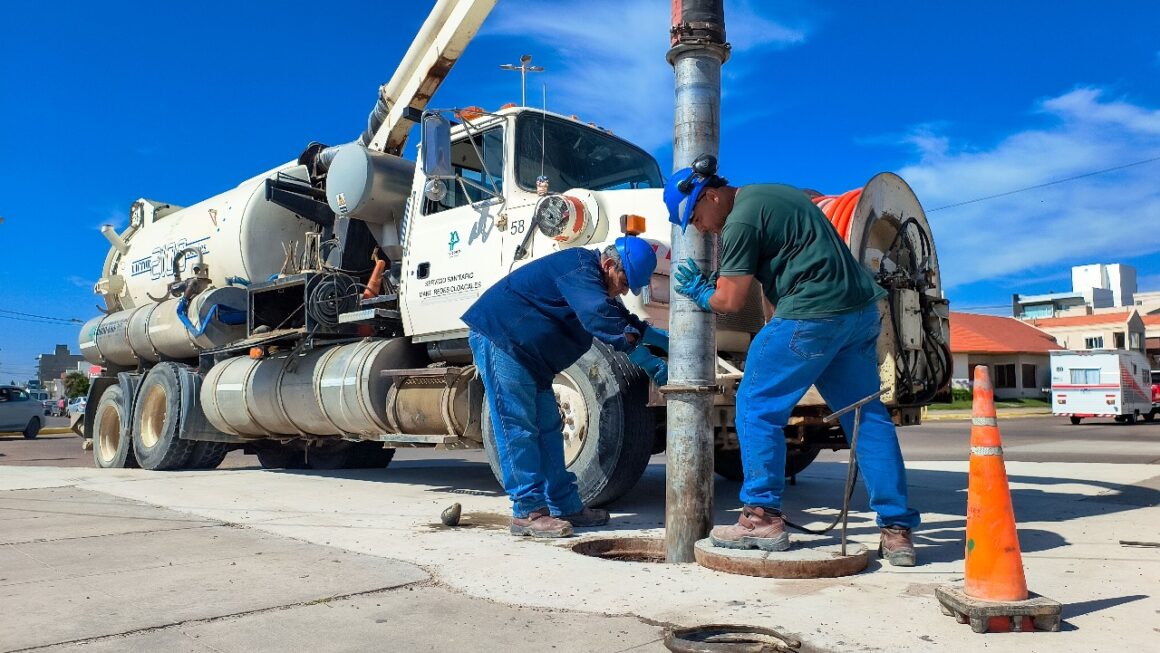 Mantenimiento preventivo del sistema cloacal