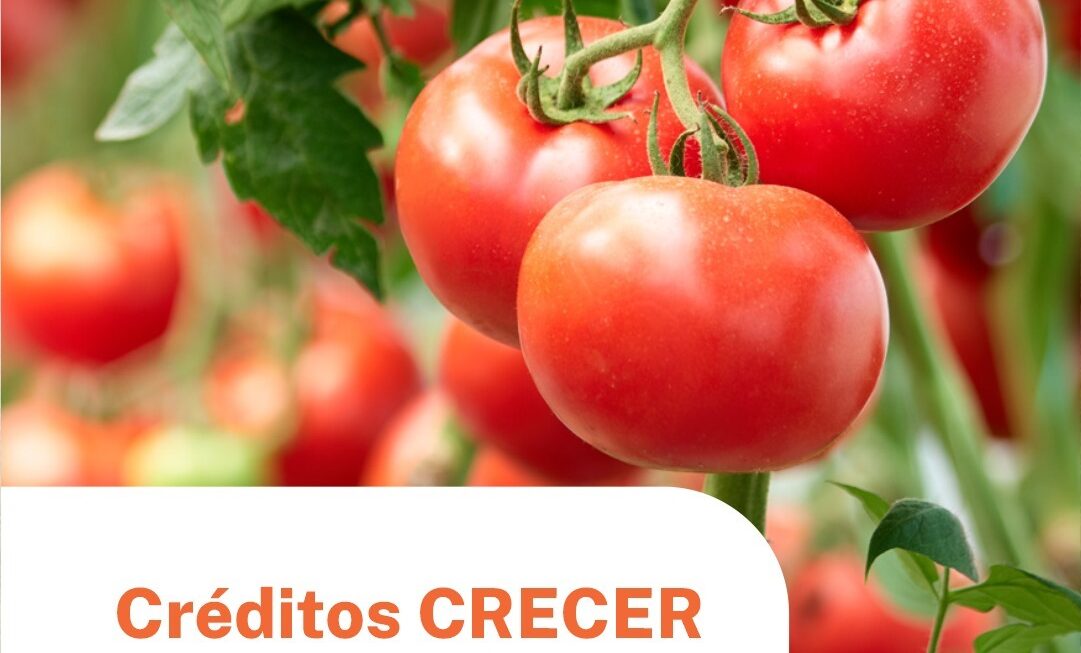 El Gobierno del Chubut informa que están disponibles Líneas de Financiamiento CRECER