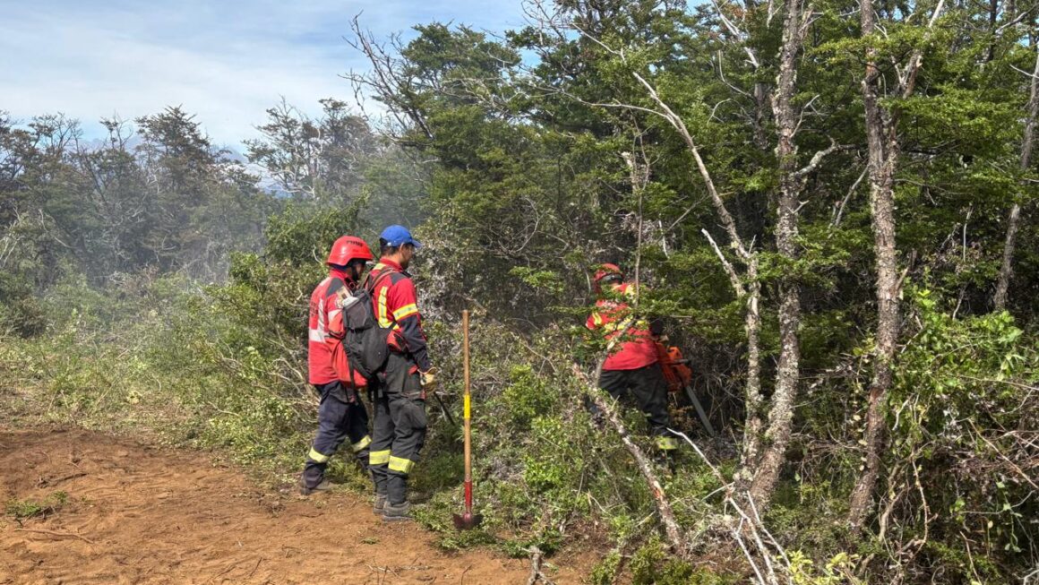 El Gobierno de la Provincia refuerza el operativo para controlar el incendio registrado en Atilio Viglione