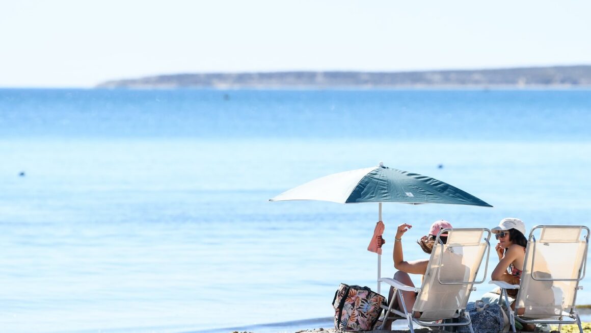 La Promoción Constante De Puerto Madryn Posiciona A La Ciudad Como Uno De Los Destinos De Verano Más Elegidos