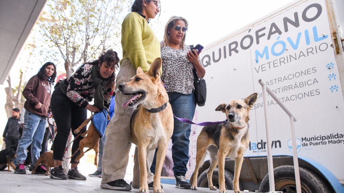 Las Campañas De Cuidado Responsable De Animales Llegan A Tu Barrio