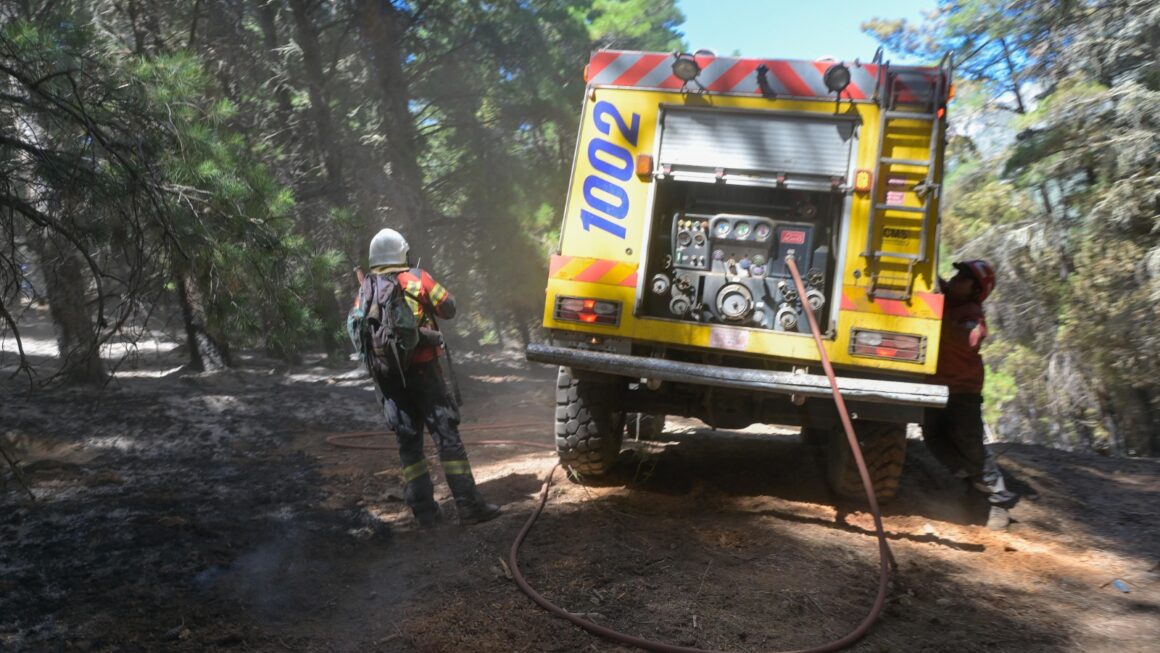 Cerca de 300 personas, equipos técnicos y medios aéreos participan de los operativos para sofocar los incendios en la cordillera