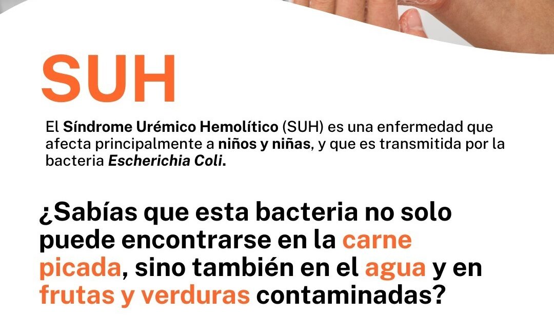 Provincia solicita reforzar medidas preventivas del Síndrome Urémico Hemolítico ante aumento de casos durante el verano