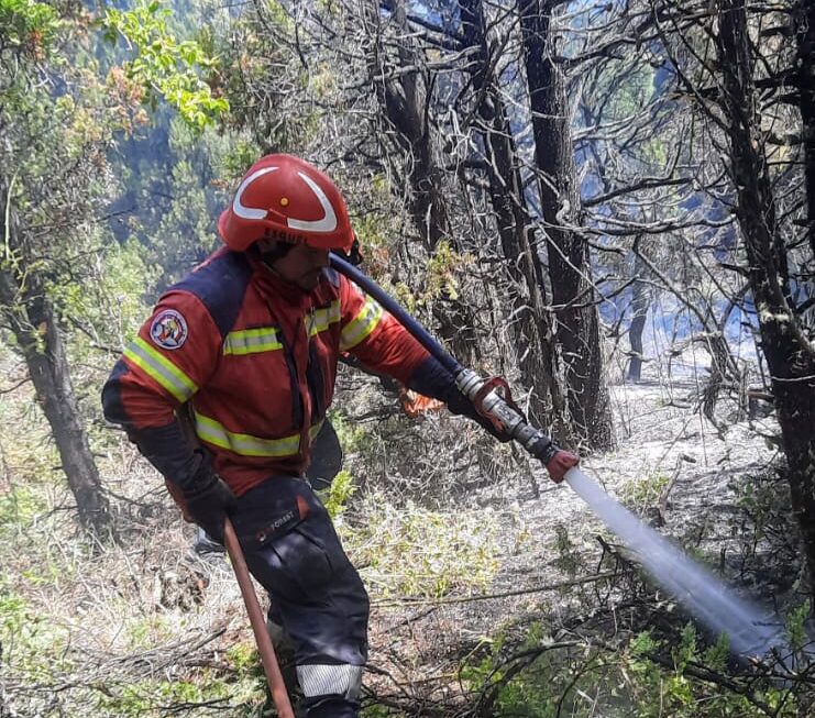 En un rápido despliegue, se controló el incendio forestal en la zona de Los Cipreses
