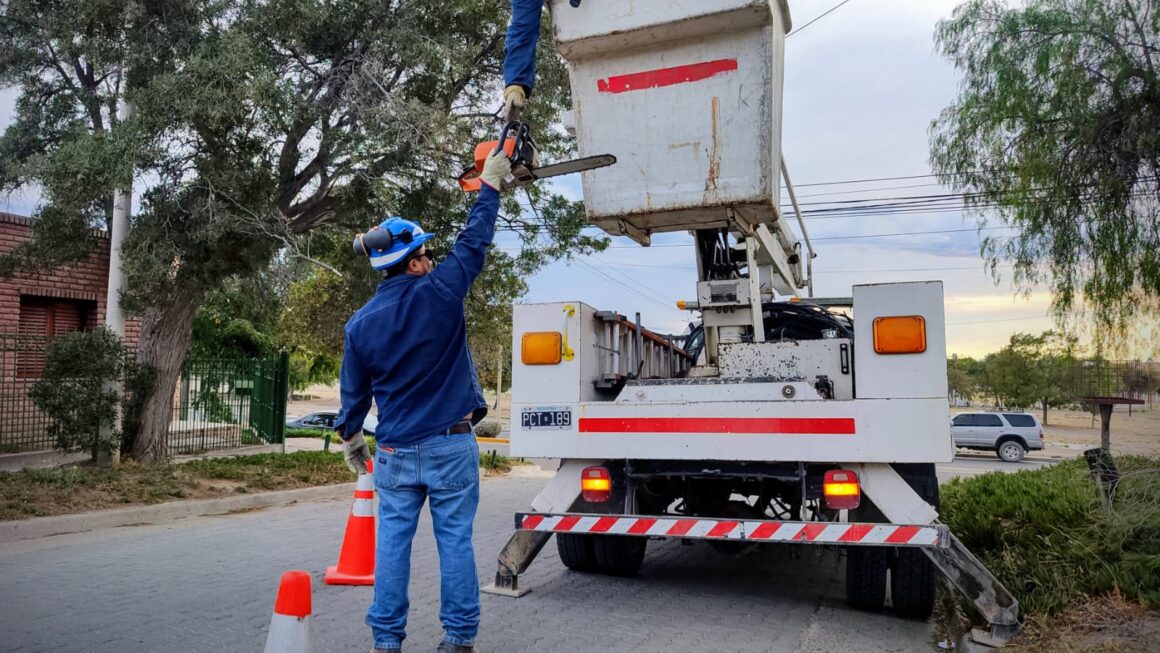 Tareas de despeje aéreo en la zona sur de la ciudad.