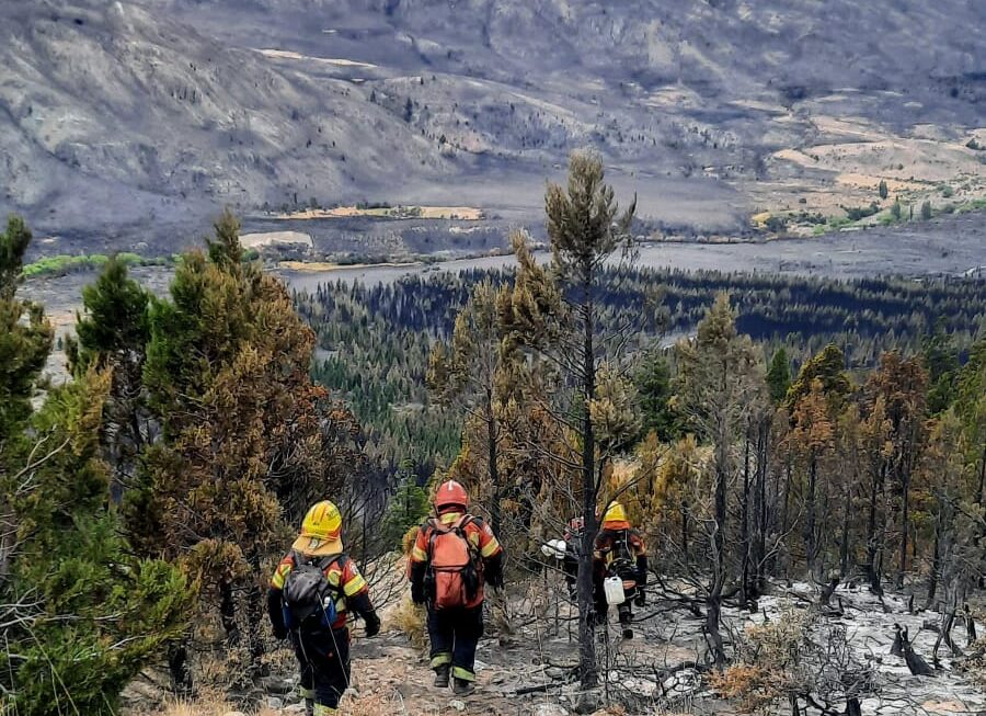 Luego de un fuerte despliegue de brigadistas y medios aéreos, se logró contener el incendio forestal iniciado en la zona de Trevelin