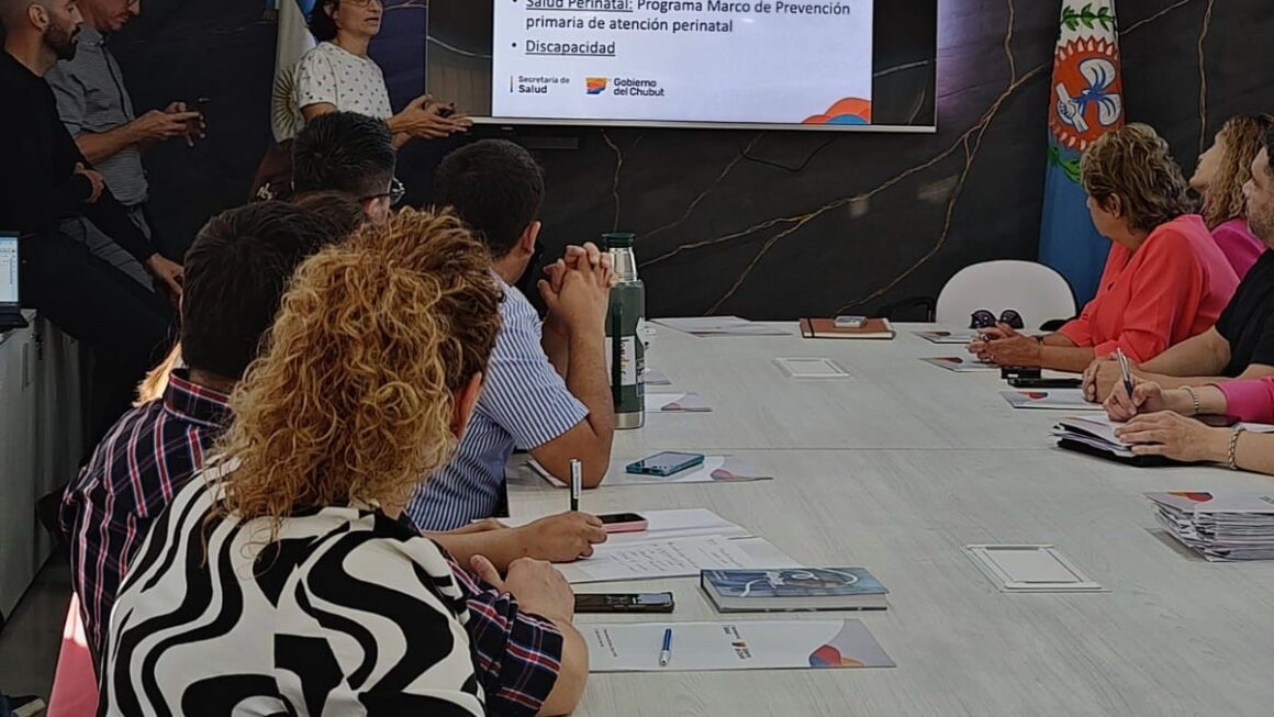 Chubut realizó el lanzamiento oficial de la Campaña de Vacunación Antigripal 2025