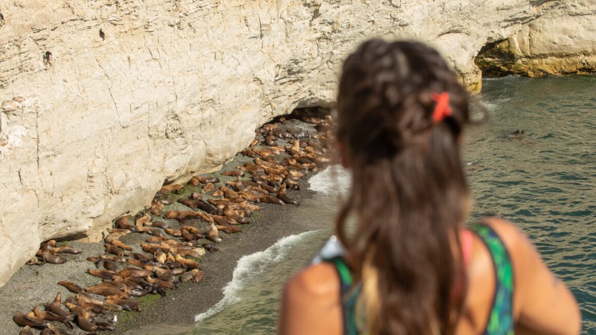 Turismo: Desde abril se restablece el cobro de ingreso Punta Loma