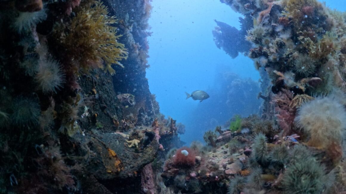 Provincia avanza en la inspección de áreas de turismo subacuático