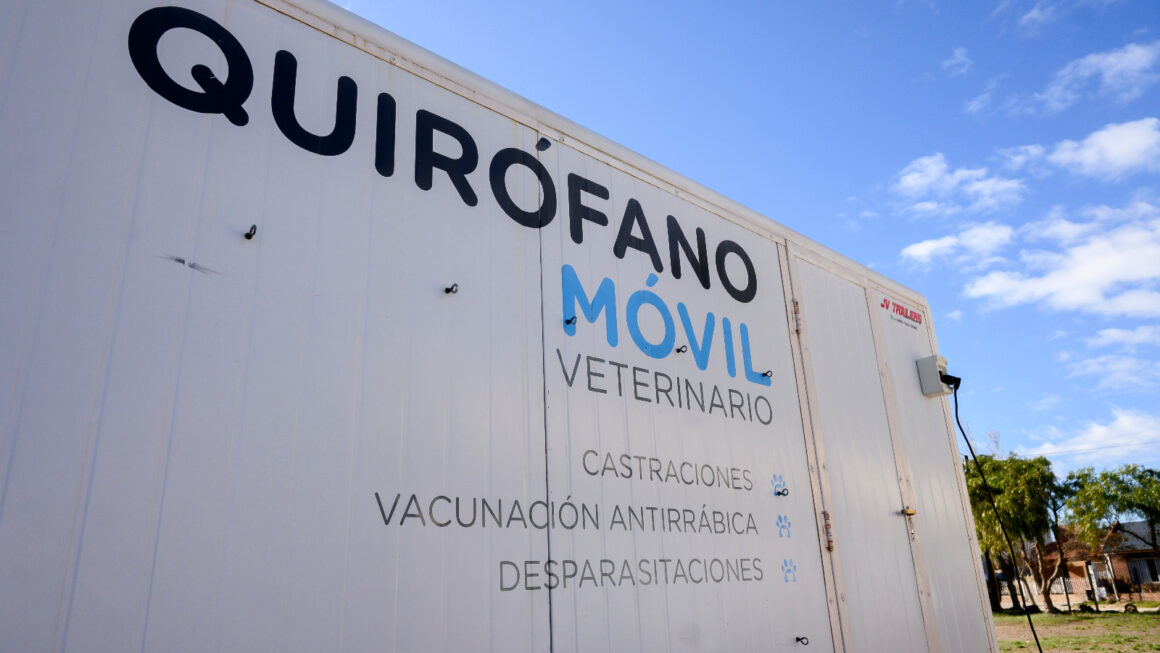 Campaña De Aplicación De Antirrábico Y Desparasitario Para Perros Y Gatos