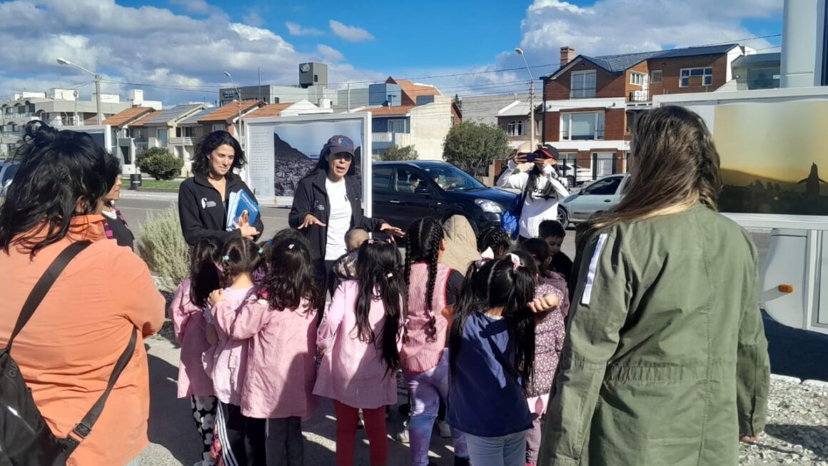 Día Mundial Del Pingüino: Aprendizaje, Juegos Y Conciencia Ambiental Desde La Infancia En Puerto Madryn
