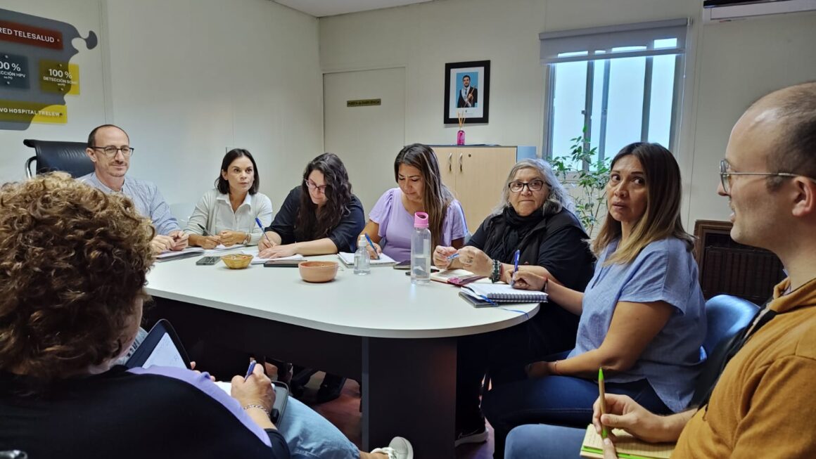Chubut conformó el Consejo Provincial de Respuesta Integral al VIH, ITS, Hepatitis Virales y Tuberculosis