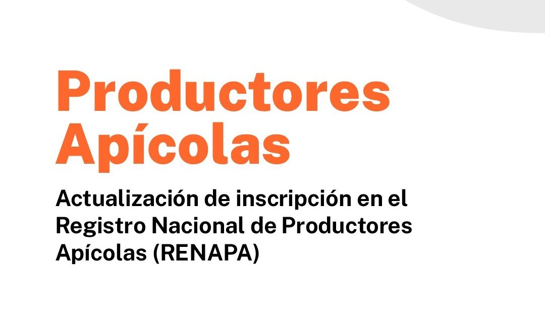 Provincia convoca a productores apícolas a actualizar su inscripción en el Registro Nacional