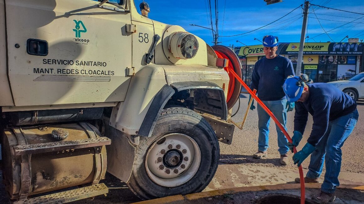 La importancia del mantenimiento preventivo sobre el sistema cloacal.