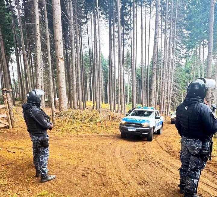 La Policía del Chubut desmanteló una industria maderera ilegal en Lago Puelo