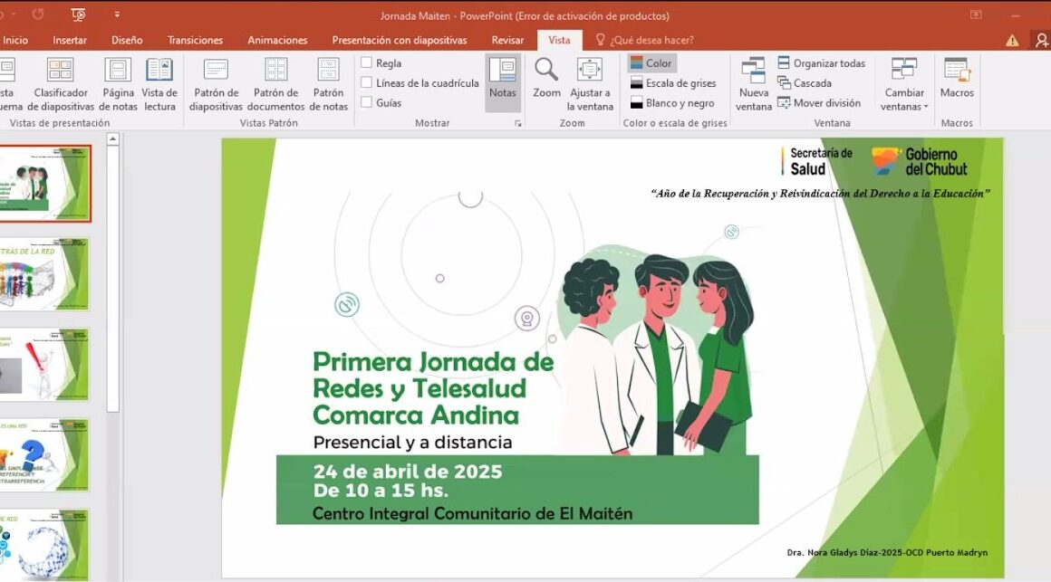 Provincia realizó la “Primera Jornada de Redes y Telesalud para la Comarca Andina”