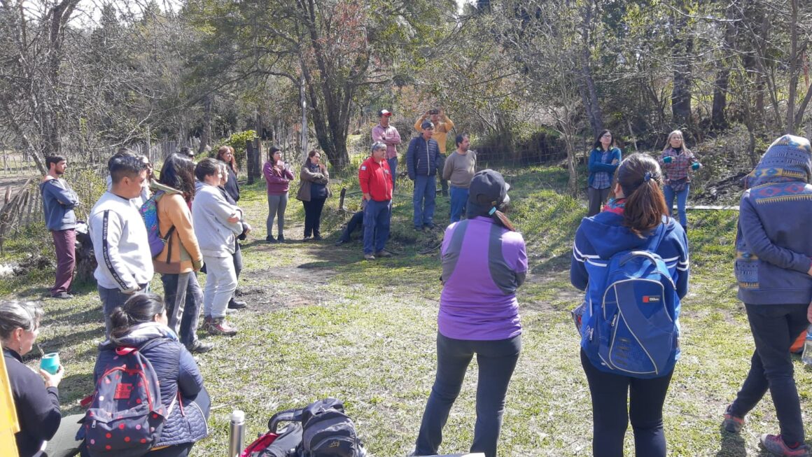 Provincia brinda capacitación docente destinada a la protección y uso sostenible de los bosques patagónicos