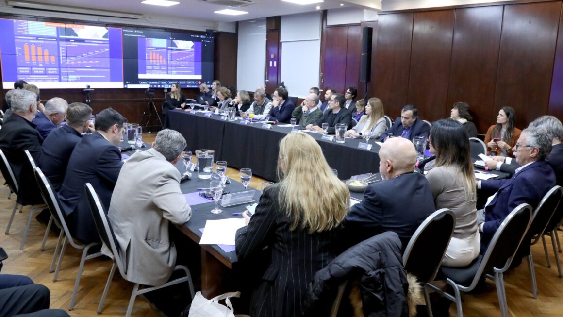 Chubut participó de una nueva reunión del Consejo Federal de Salud