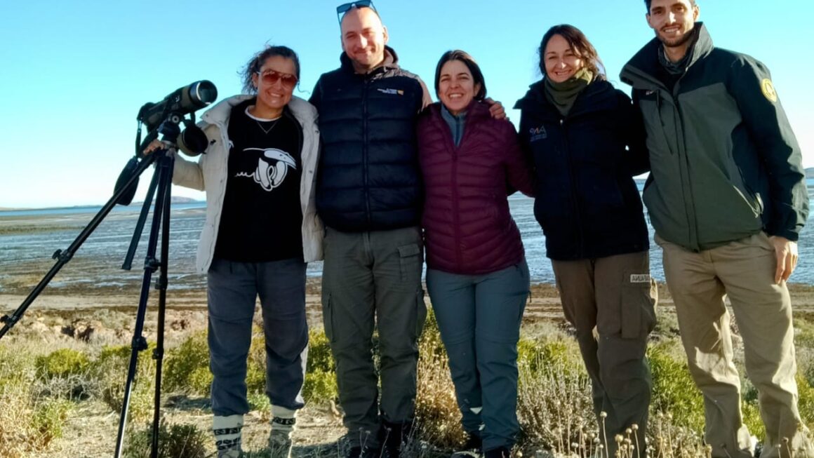 Provincia desarrolla capacitación en monitoreo para conservar la biodiversidad del Mar Patagónico