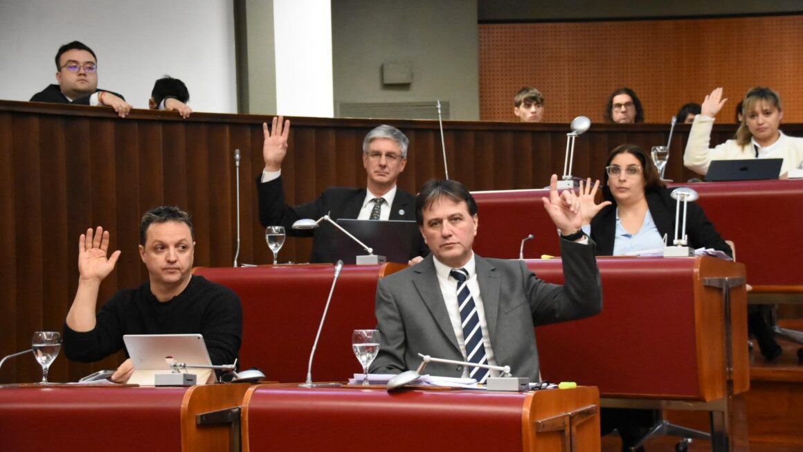 Torres destacó la aprobación de la ley que exime del Impuesto de Sellos a la constitución y capitalización de empresas en Chubut