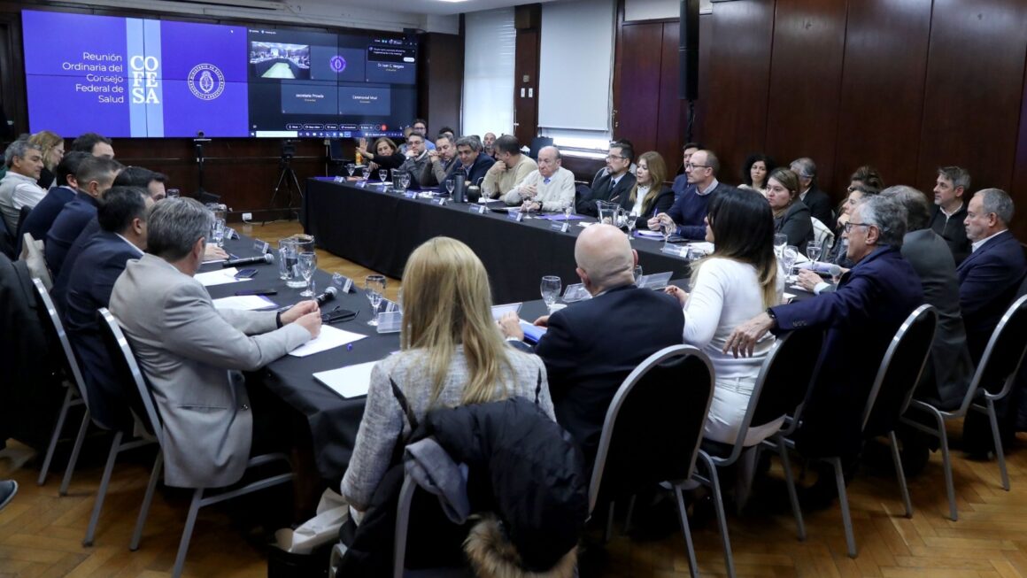 Chubut participó de un nuevo encuentro del Consejo Federal de Salud