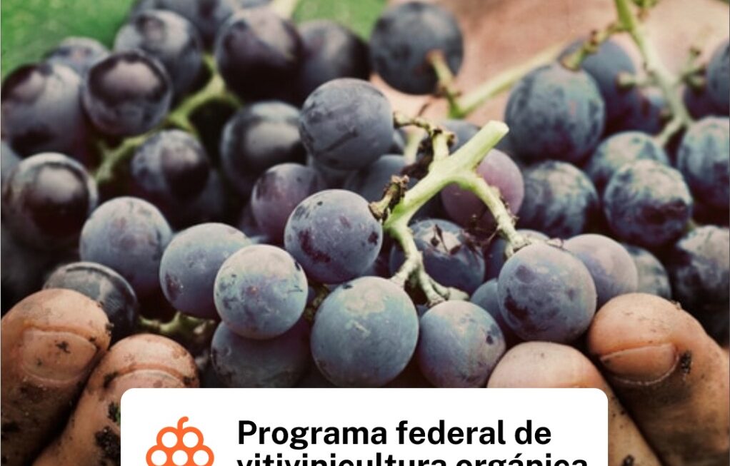 Provincia invita a participar en los programas de formación vitivinícola del CFI