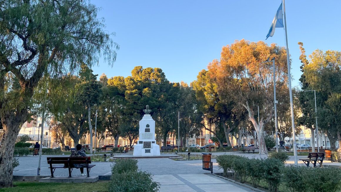 Se Realizarán Tareas De Poda En La Plaza San Martín