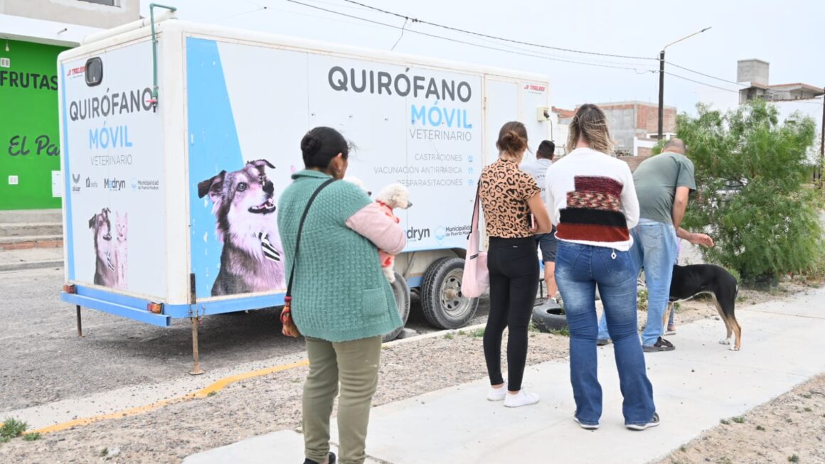 Las Campañas De Cuidado Responsable De Animales Llegan A Tu Barrio