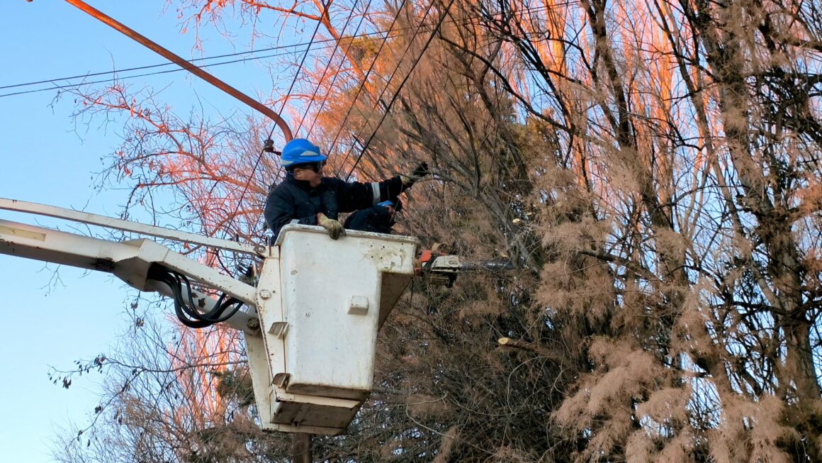 Con la llegada del invierno se intensifican las tareas sobre redes de energía.