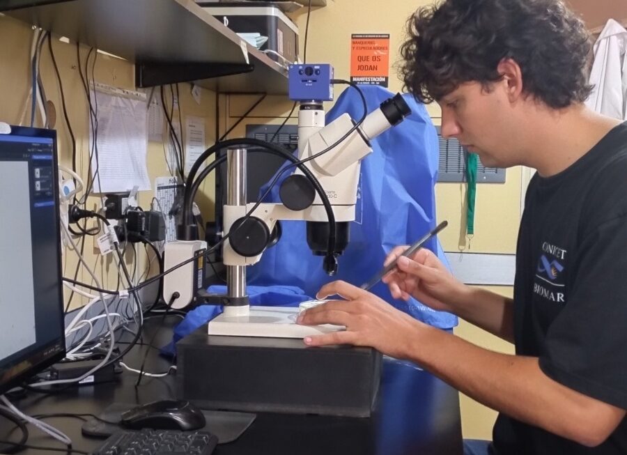 Becario de Chubut desarrolló innovadora investigación en el campo de la morfometría geométrica aplicada al cannabis