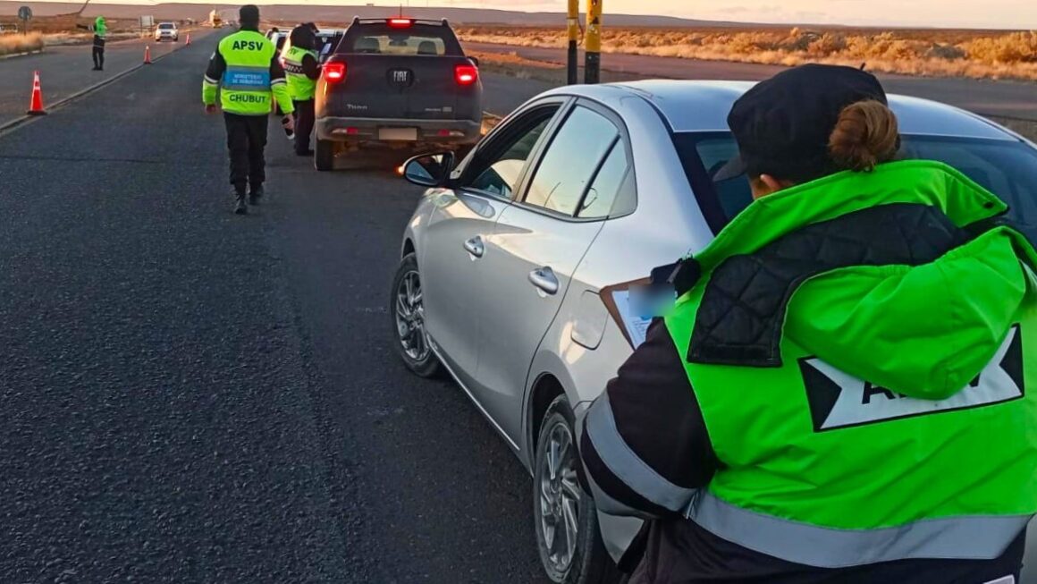 Provincia controló cerca de 8.000 vehículos y retiró de la vía pública a 50 conductores durante el fin de semana