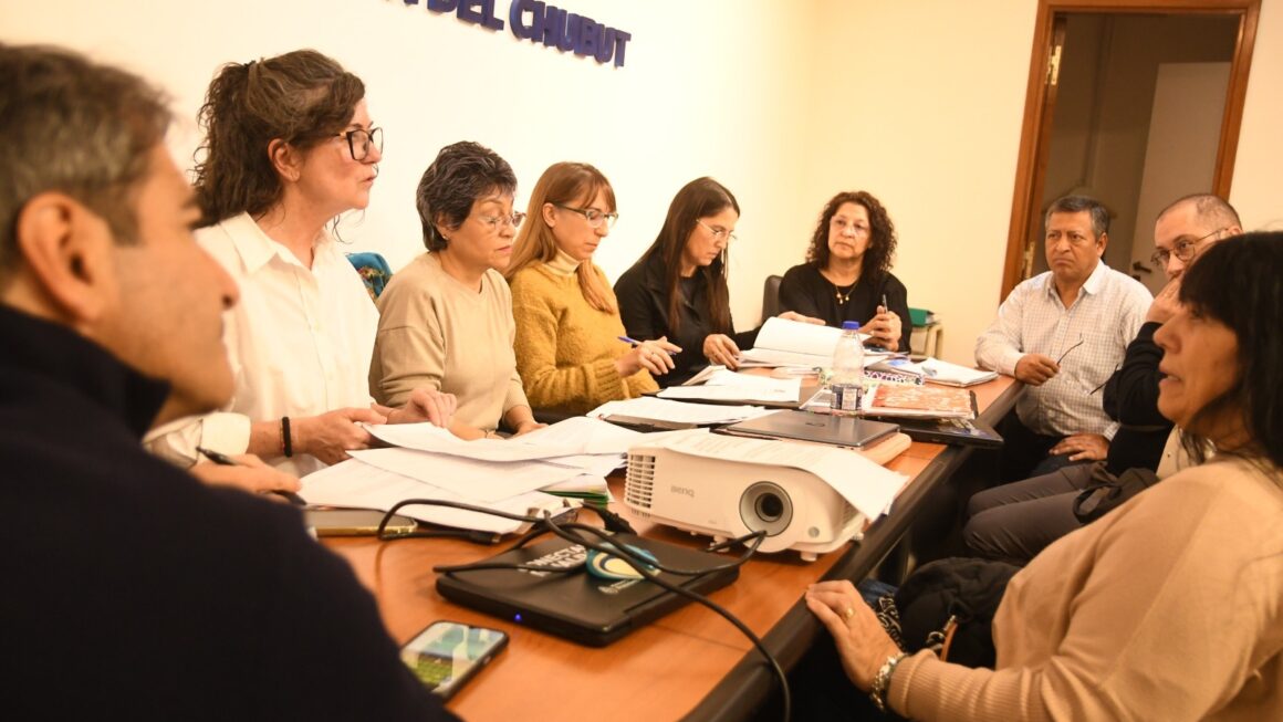 Provincia avanza en la actualización de los Diseños Curriculares en Educación Superior