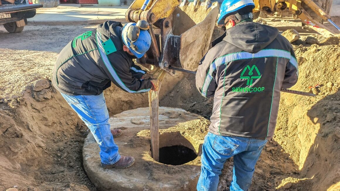 Readecuación de cámara de inspección cloacal