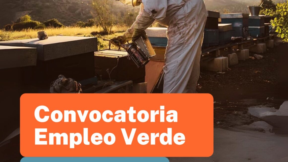 Provincia lanzó una nueva convocatoria del programa «Fomentar Empleo Verde»
