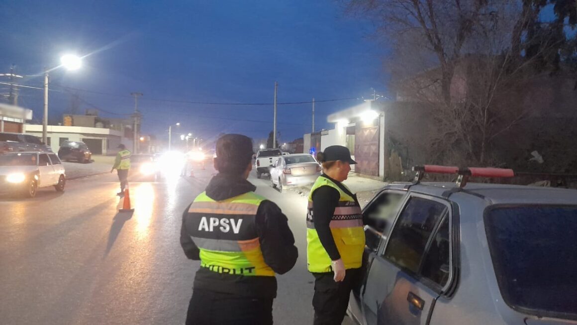 Provincia controló cerca de 7.000 vehículos y retiró de la vía pública a 36 conductores durante el fin de semana