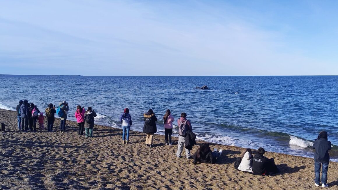 Turista En Tu Ciudad: Vecinos De Madryn Disfrutaron Salidas Gratuitas Al Área Natural Protegida El Doradillo