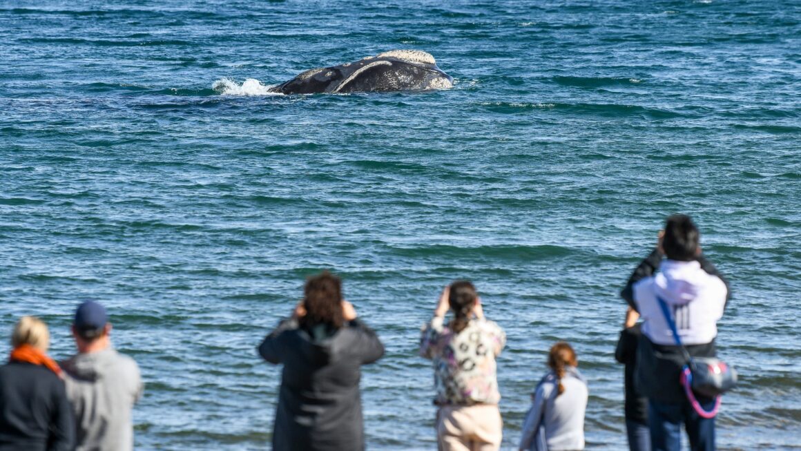 La Secretaría De Turismo Recuerda Que Las Agencias De Viajes Forman Parte Del Registro Municipal De Prestadores Turísticos