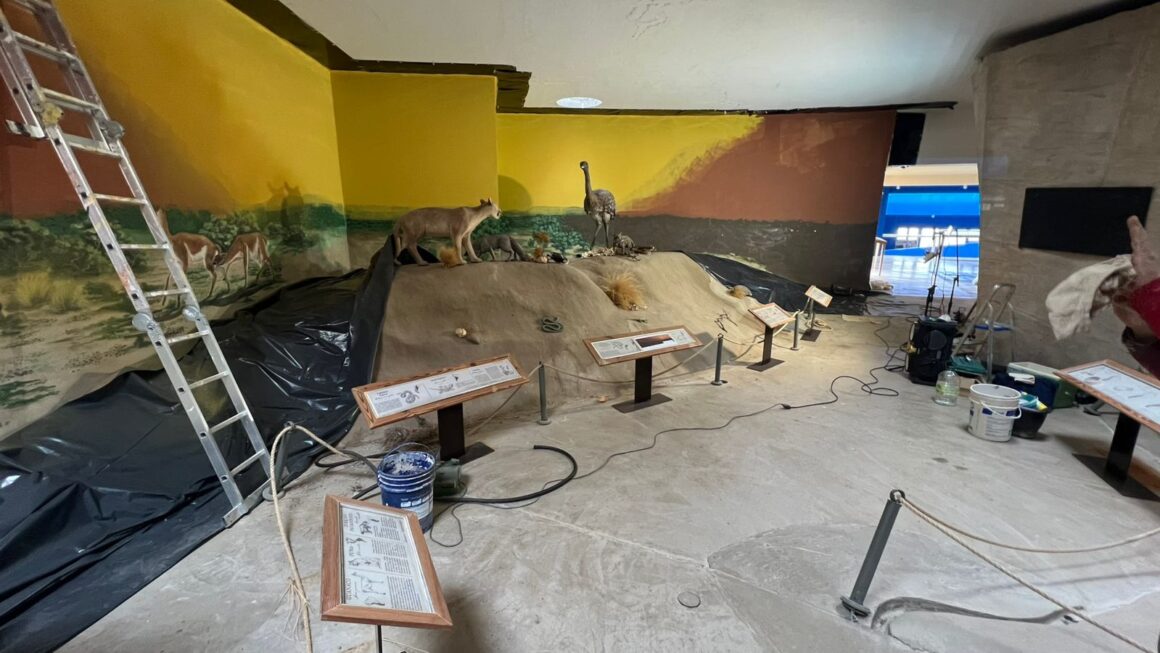 Provincia realiza obras en el Área Natural Protegida Punta Tombo para recibir la temporada de Pingüinos