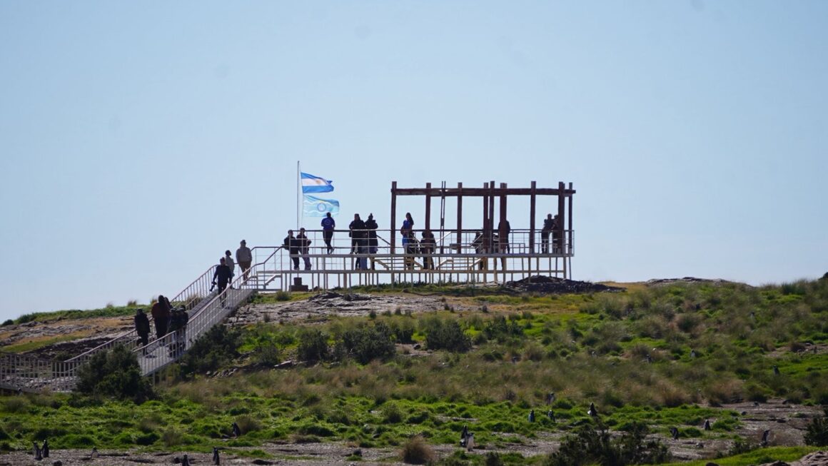 Chubut inauguró la temporada de pingüinos en Cabo Dos Bahías