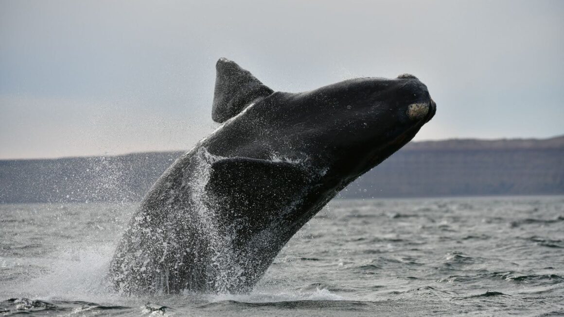 Últimos Días Para Postularse Para Los Reconocimientos De Turismo Deportivo